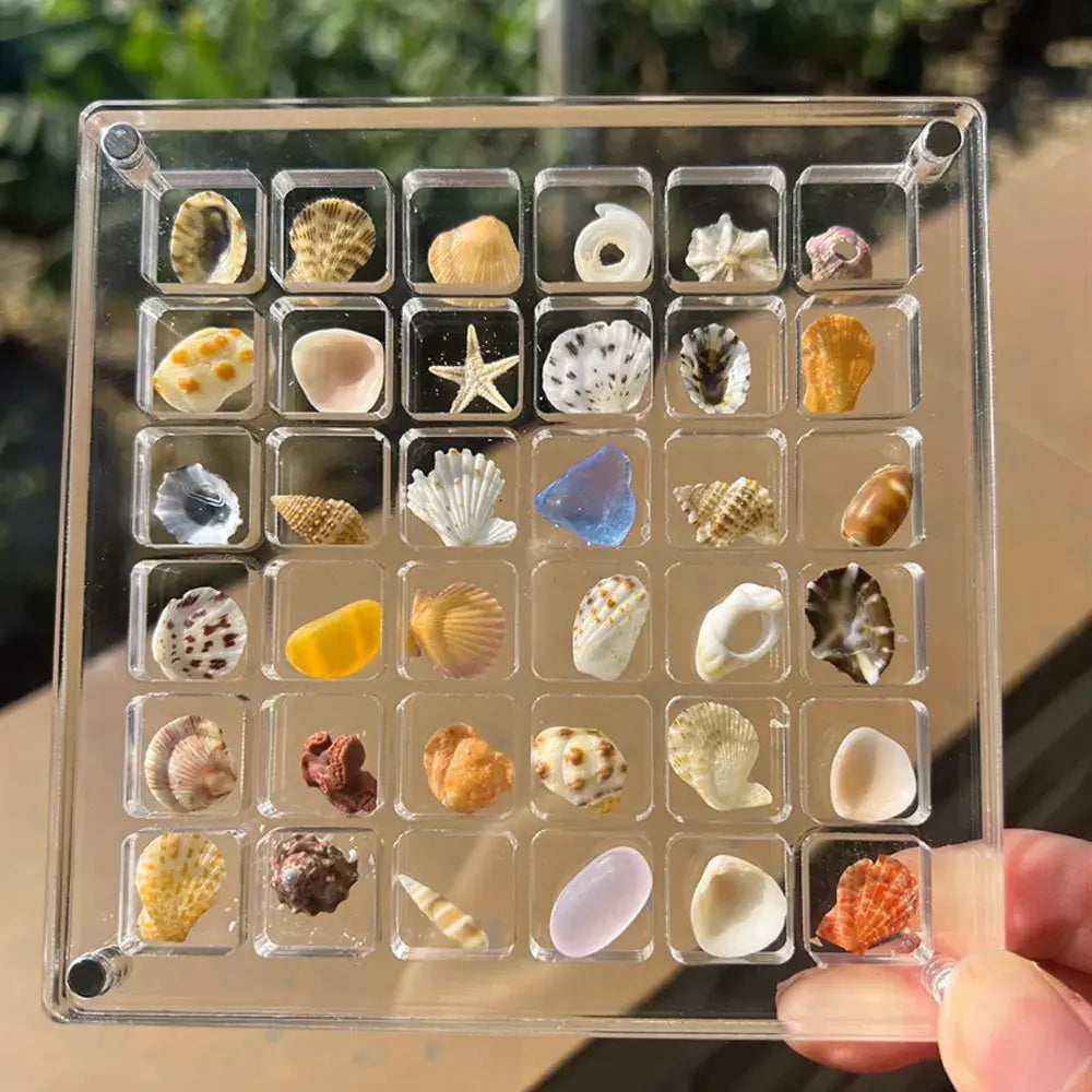 Clear Acrylic Shell Organizer