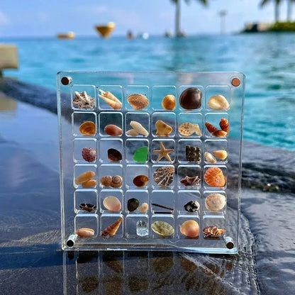 Clear Acrylic Shell Organizer